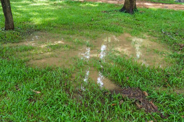 Storm Water Drainage Service in Perrysburg