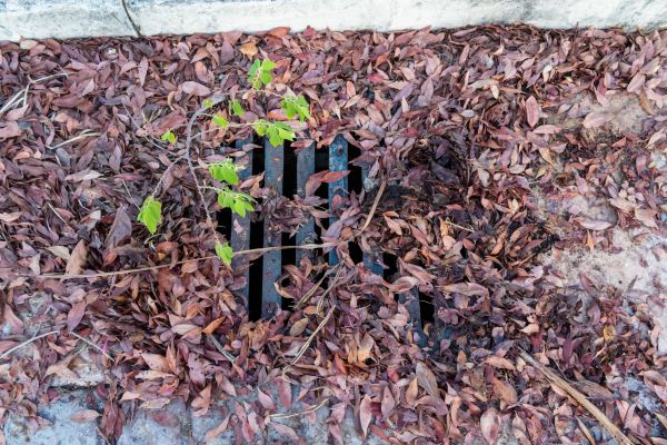 Yard Drain Unclogging in Perrysburg