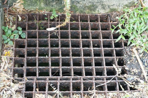 Yard Drain Cleaning in Perrysburg