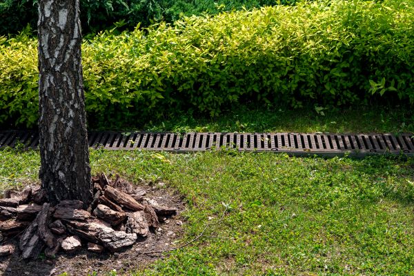 Garden Drainage Installation in Perrysburg