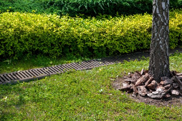 Residential Landscape Drainage in Perrysburg